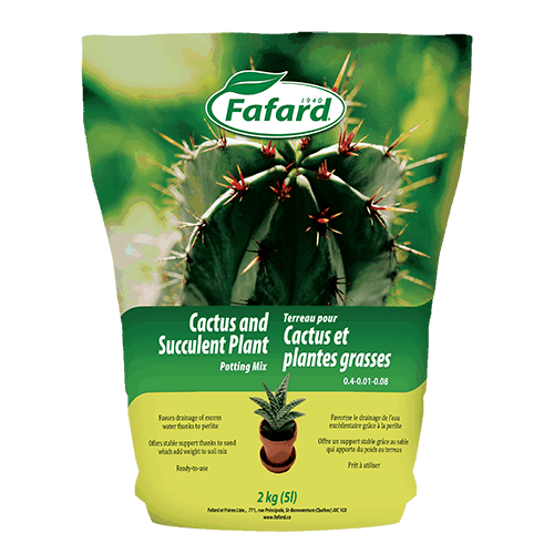 Un mix parfait pour vos plantes d'intérieur - Famiflora ouvert 7/7