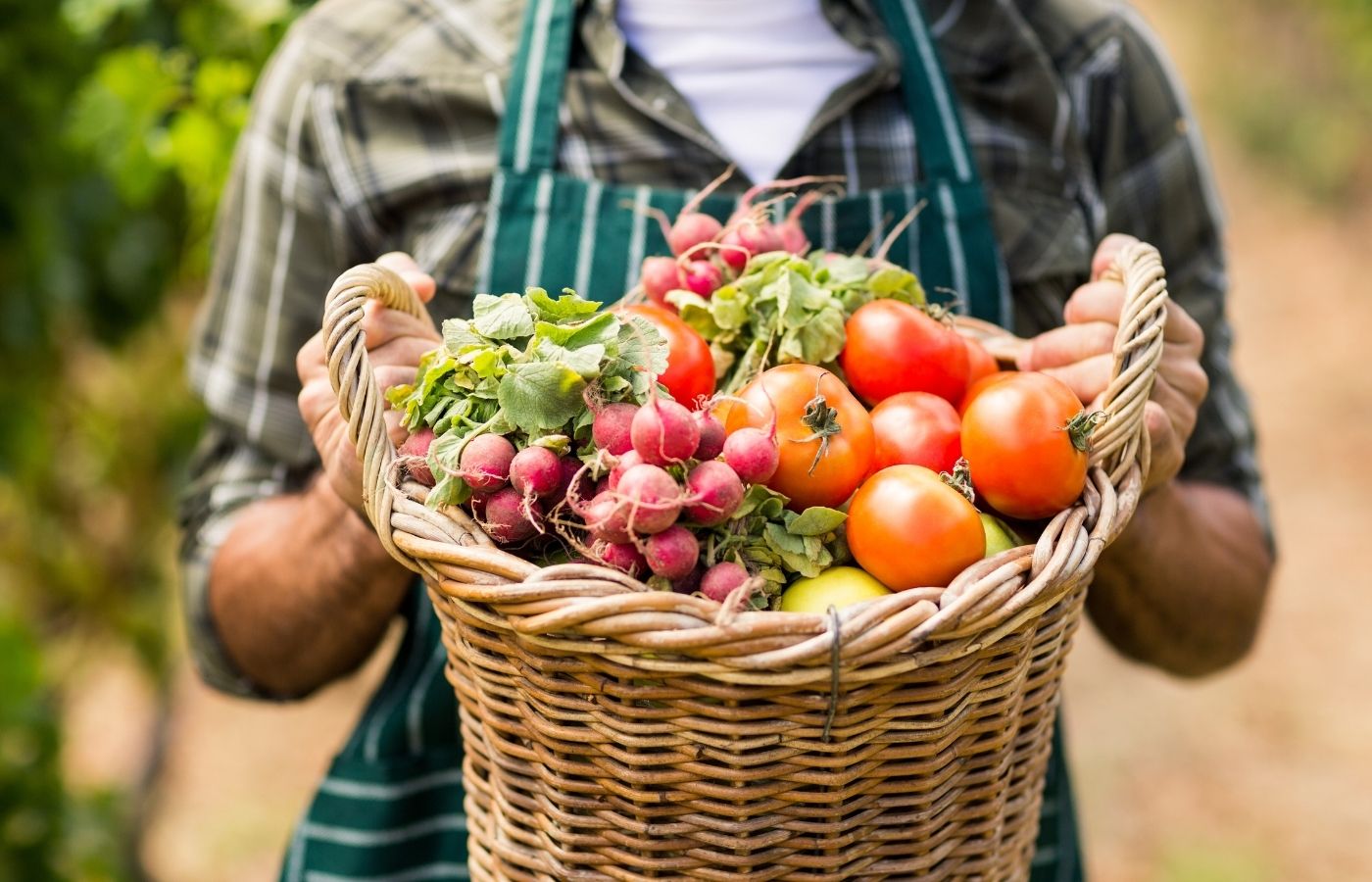 Easy-to-grow fruits and vegetables for a successful garden