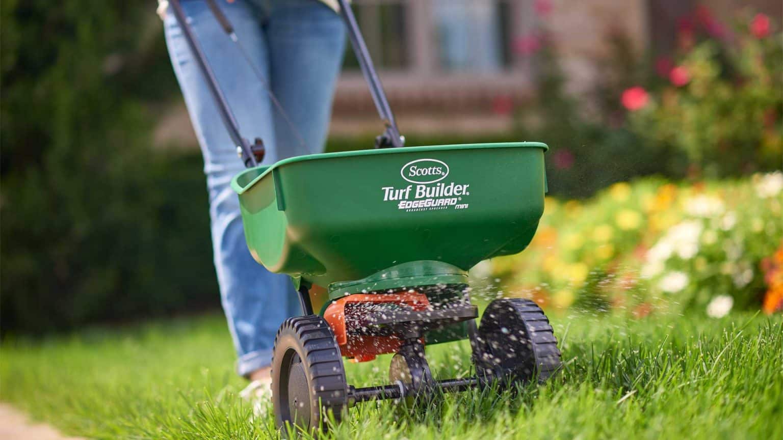 Why Should You Fertilize Your Lawn in the Fall?